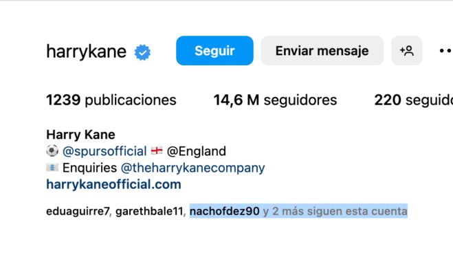 nacho nacho