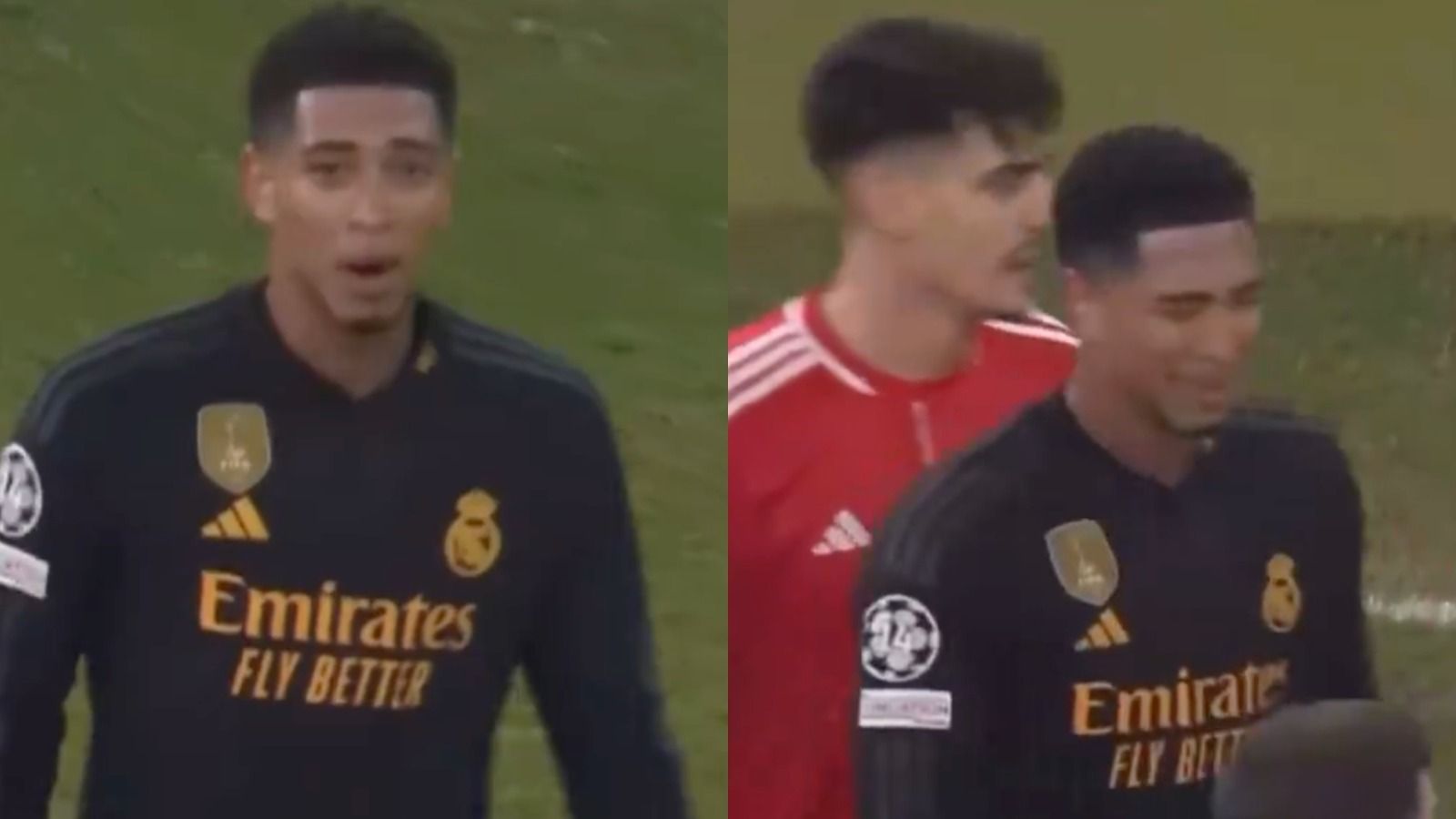 Malas noticias para el Real Madrid con Bellingham para octavos: K.O inmediato Malas noticias para el Real Madrid con Bellingham para octavos: K.O inmediato