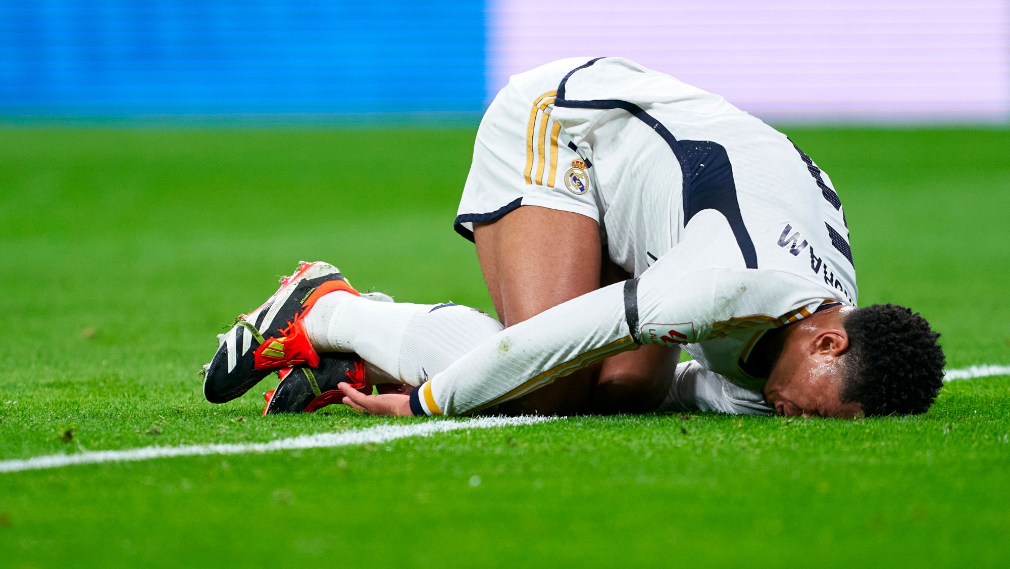 Bellingham Bellingham