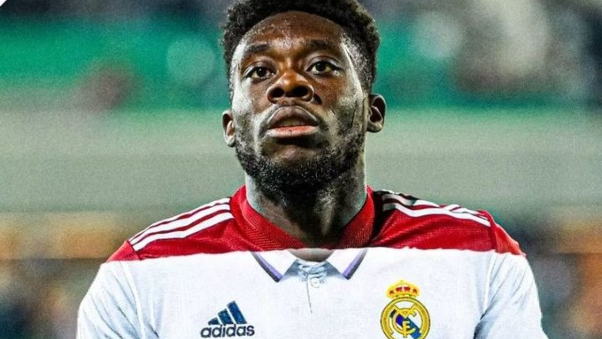 El madridismo es un clamor: piden el fichaje de Davies y Florentino sabe lo que cuesta El madridismo es un clamor: piden el fichaje de Davies y Florentino sabe lo que cuesta