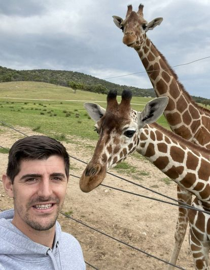 El Jirafa, Thibaut Courtois El Jirafa, Thibaut Courtois