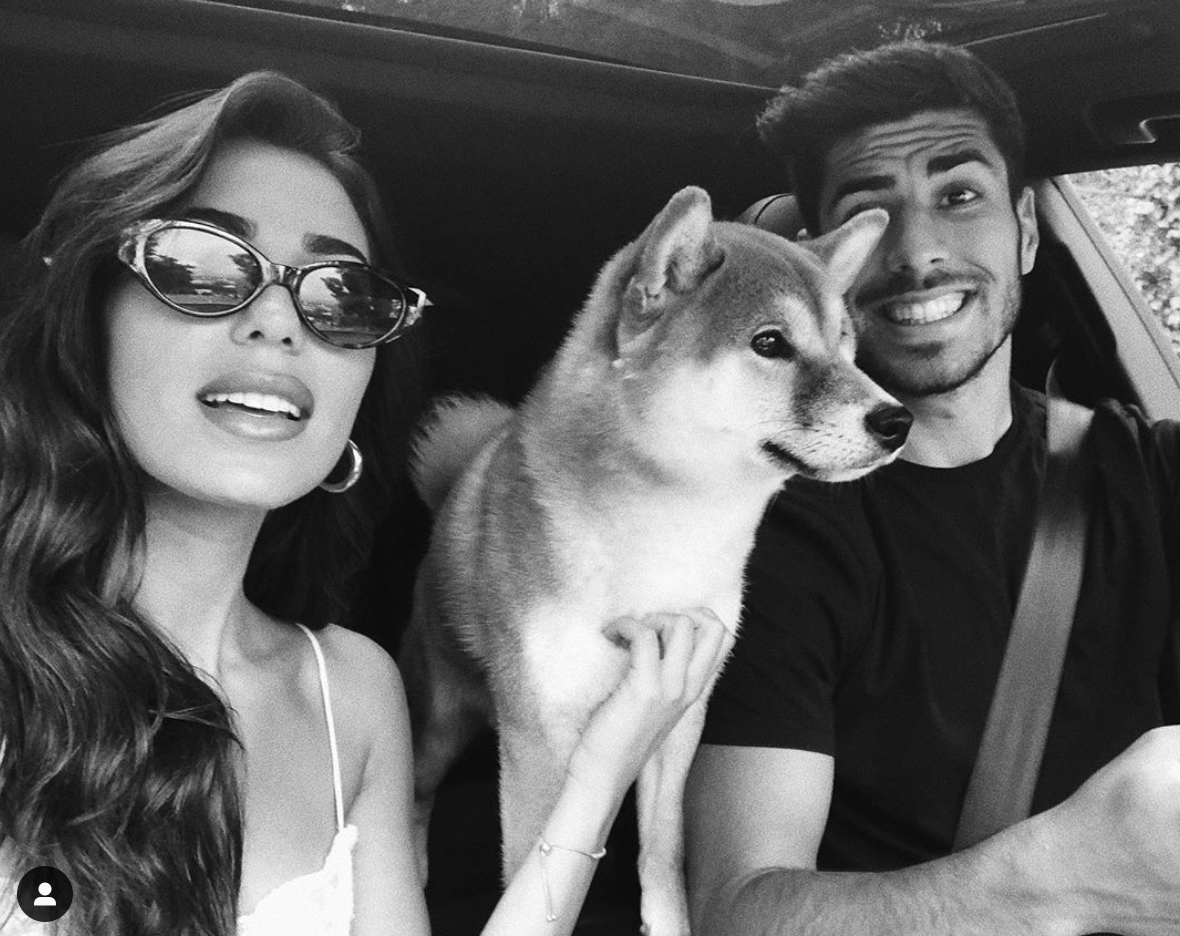 Marco Asensio y sus mascotas
