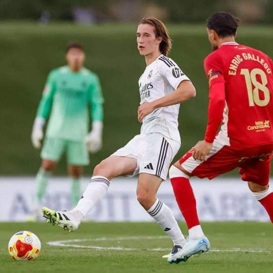 bc260f6f df42 48e9 897a 6e87ffd87553 alta libre aspect ratio default 0