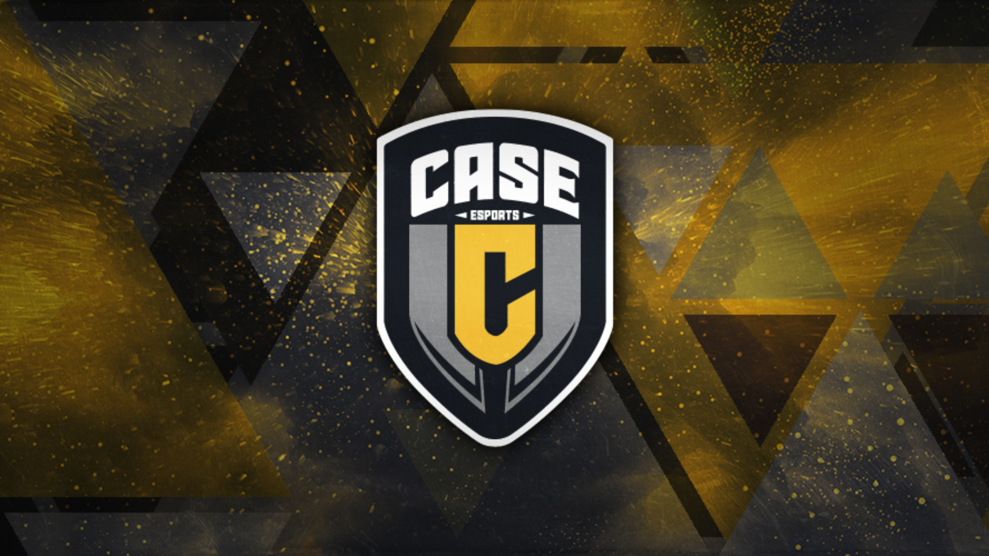 Case esports steam фото 67